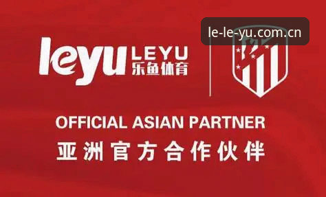 乐鱼体育平台登录前，先搞懂这3个版本差异的真相